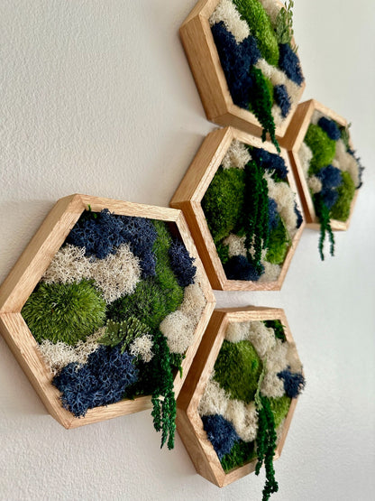 Honeycomb Moss Wall Art: Reindeer & Pole Moss in Wood Hexagon | USA - TARIFF FREE