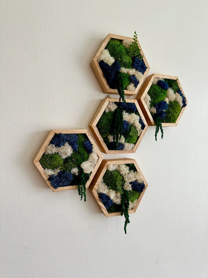 Honeycomb Moss Wall Art: Reindeer & Pole Moss in Wood Hexagon | USA - TARIFF FREE