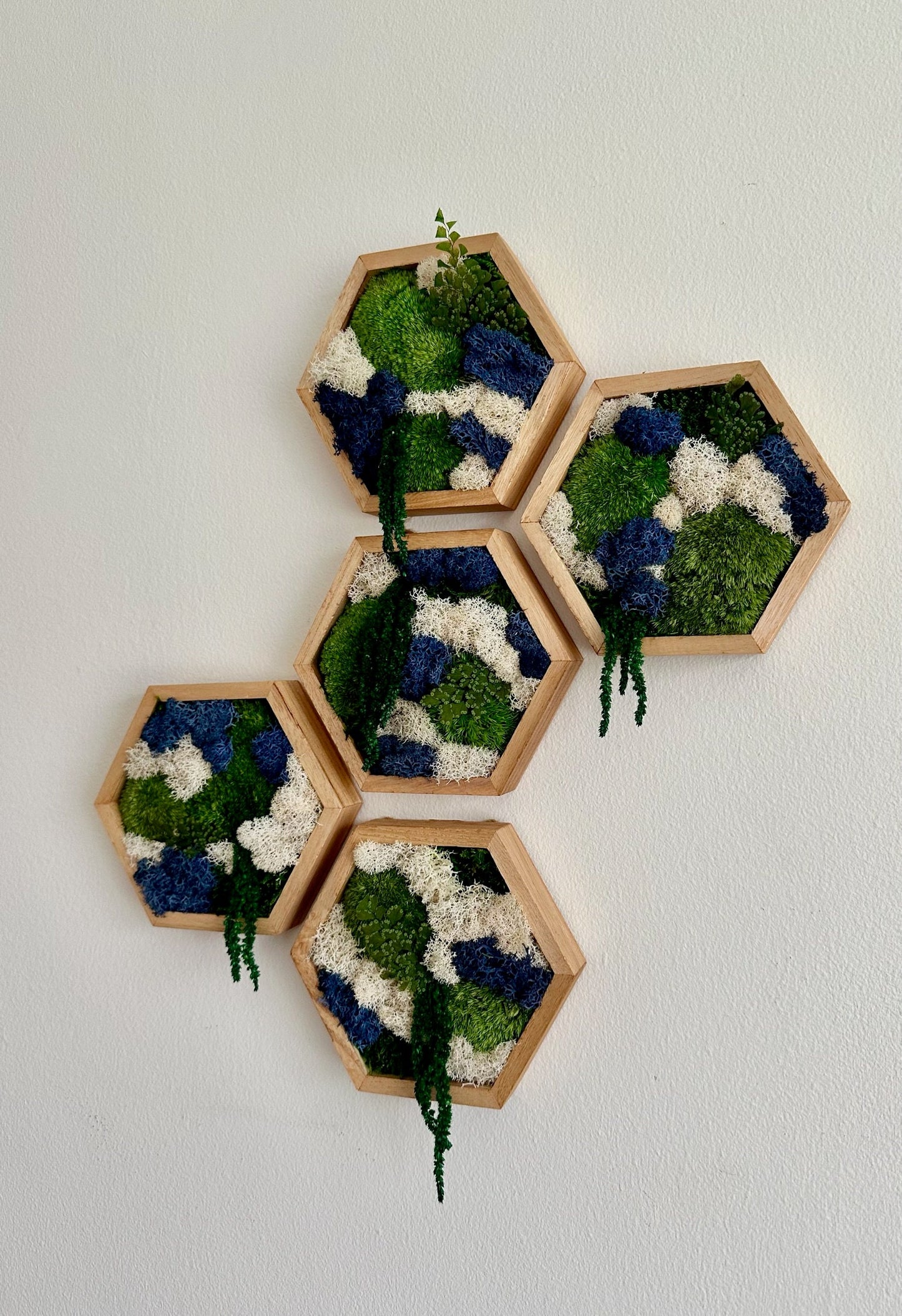 Honeycomb Moss Wall Art: Reindeer & Pole Moss in Wood Hexagon | USA - TARIFF FREE