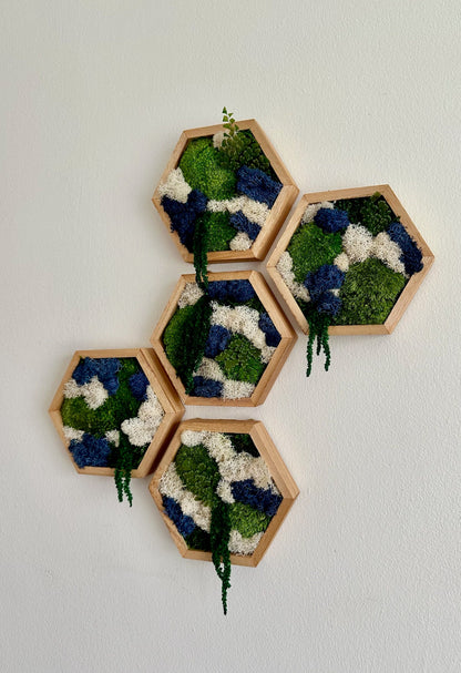 Honeycomb Moss Wall Art: Reindeer & Pole Moss in Wood Hexagon | USA - TARIFF FREE