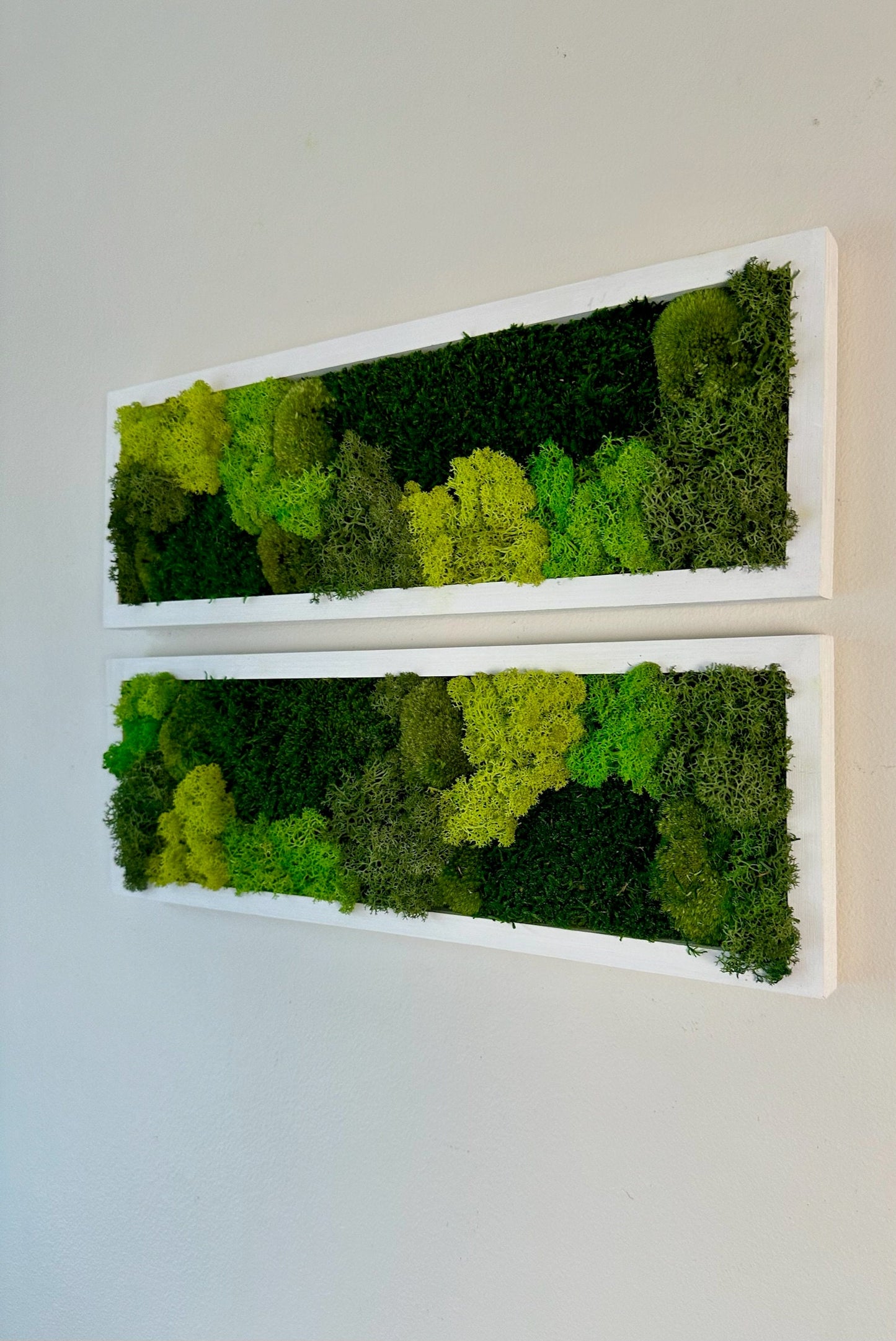 Moss Wall Art | Preserved Moss Art Framed | Moss Wall Decor | Moss Wall Sets | Rectangle Single to Six Set | Green Reindeer Moss Pole Moss