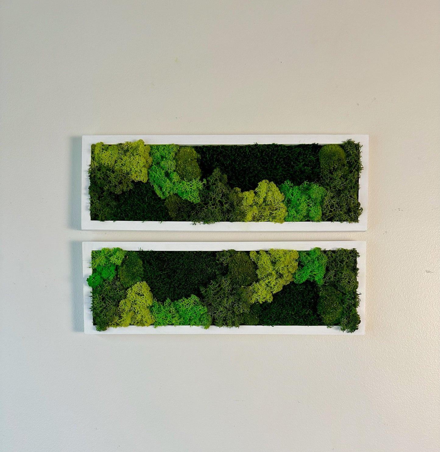 Moss Wall Art | Preserved Moss Art Framed | Moss Wall Decor | Moss Wall Sets | Rectangle Single to Six Set | Green Reindeer Moss Pole Moss