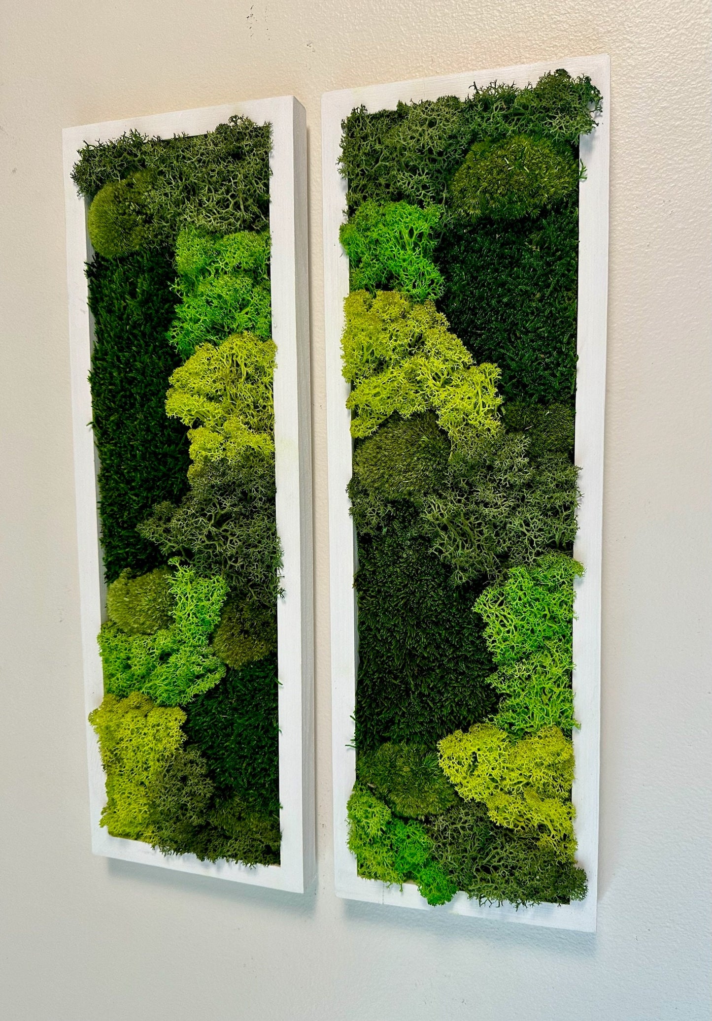 Moss Wall Art | Preserved Moss Art Framed | Moss Wall Decor | Moss Wall Sets | Rectangle Single to Six Set | Green Reindeer Moss Pole Moss