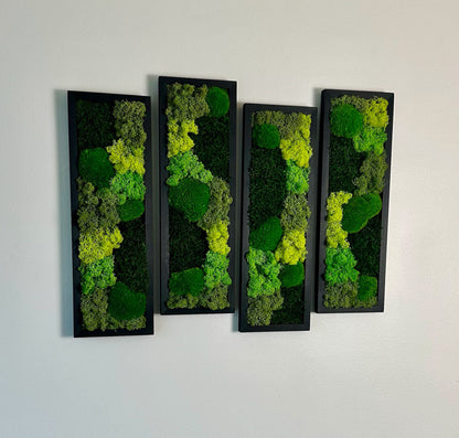 Preserved Reindeer Moss Wall Art: Wood Framed Rectangle Set | USA - TARIFF FREE