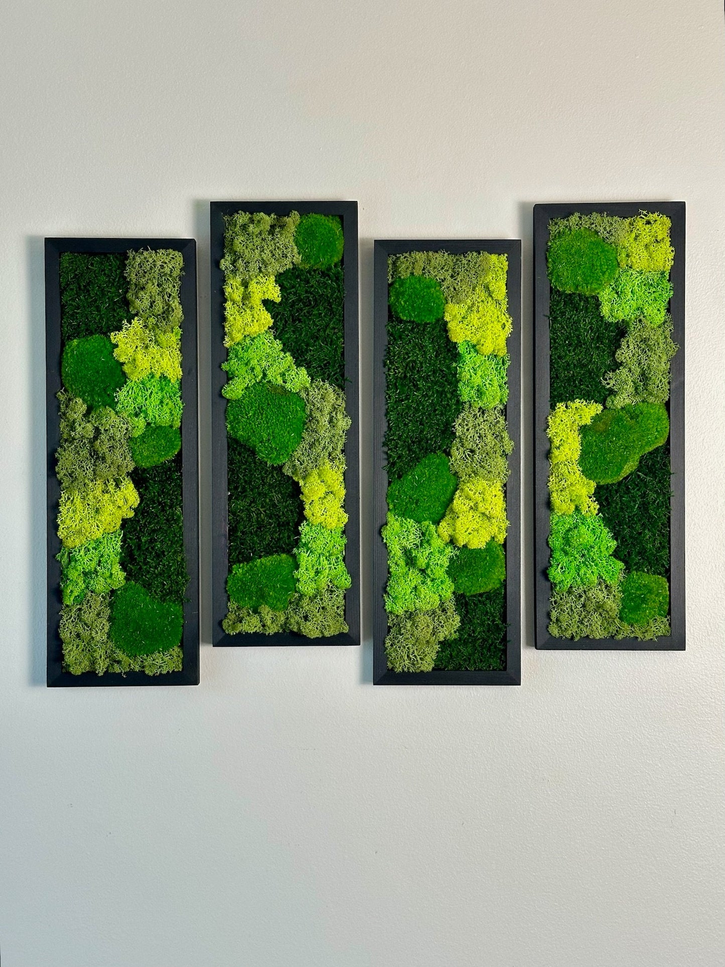 Preserved Reindeer Moss Wall Art: Wood Framed Rectangle Set | USA - TARIFF FREE