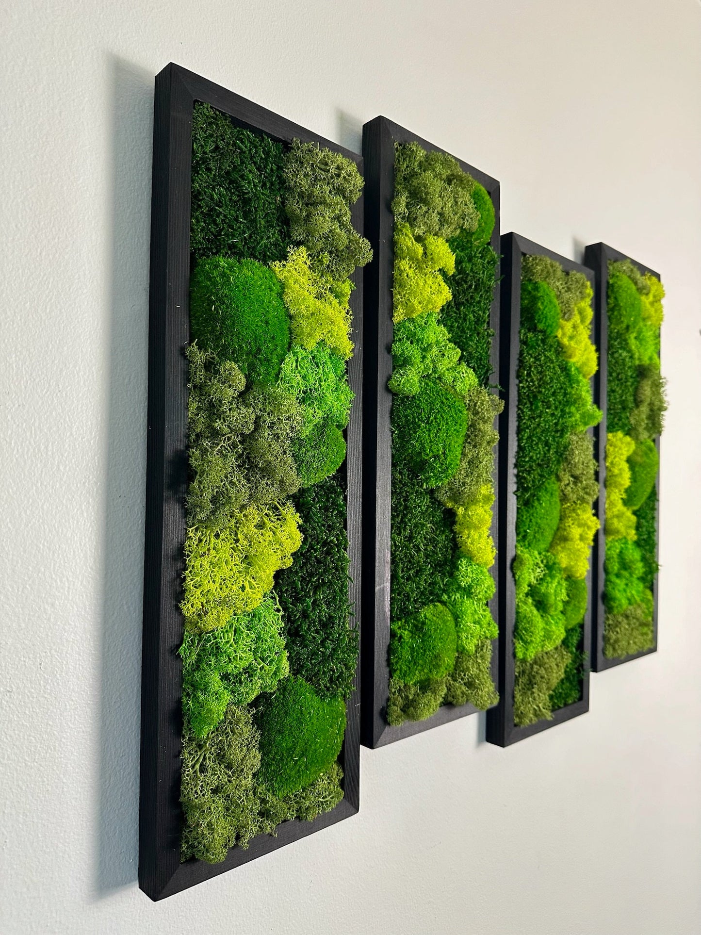 Preserved Reindeer Moss Wall Art: Wood Framed Rectangle Set | USA - TARIFF FREE