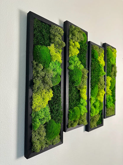 Preserved Reindeer Moss Wall Art: Wood Framed Rectangle Set | USA - TARIFF FREE
