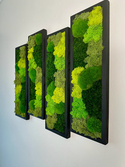 Preserved Reindeer Moss Wall Art: Wood Framed Rectangle Set | USA - TARIFF FREE