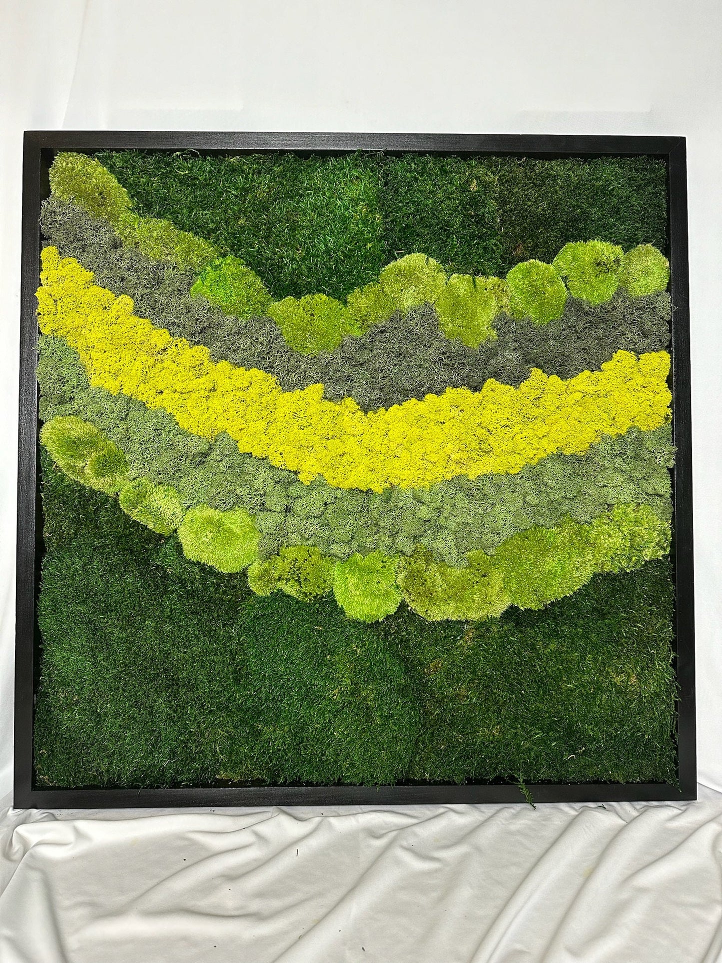 Preserved Reindeer Moss Wall Art: 20" Square Wood Frame Sets | USA - TARIFF FREE