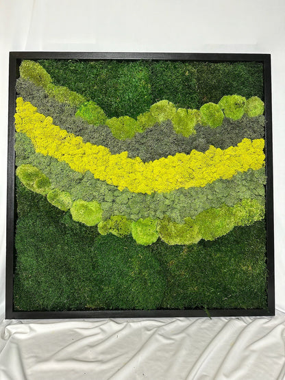 Preserved Reindeer Moss Wall Art: 20" Square Wood Frame Sets | USA - TARIFF FREE
