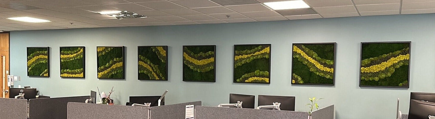 Moss Wall Art | Preserved Moss Art | Moss Wall Decor | Wood Frame Sets | Large Square 20" x 20" | Set of 1 to 8 | Reindeer Sheet Pole Moss