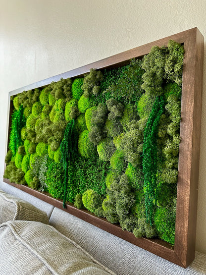 Preserved Moss Wall Art: Reindeer & Sheet Moss, Wood Frame | USA - TARIFF FREE