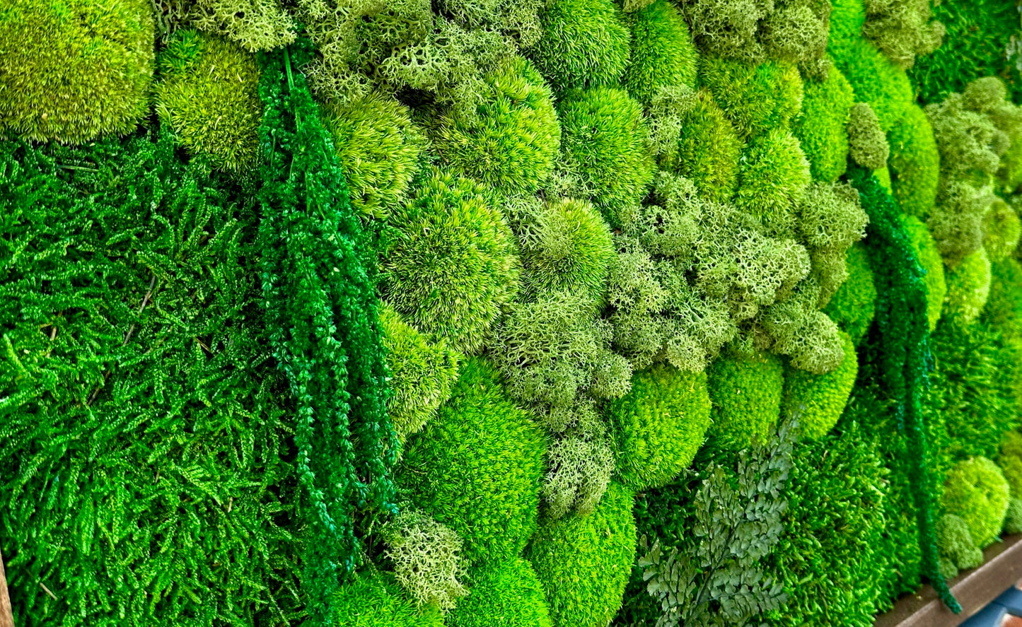 Preserved Moss Wall Art: Reindeer & Sheet Moss, Wood Frame | USA - TARIFF FREE