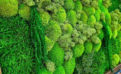 Preserved Moss Wall Art: Reindeer & Sheet Moss, Wood Frame | USA - TARIFF FREE