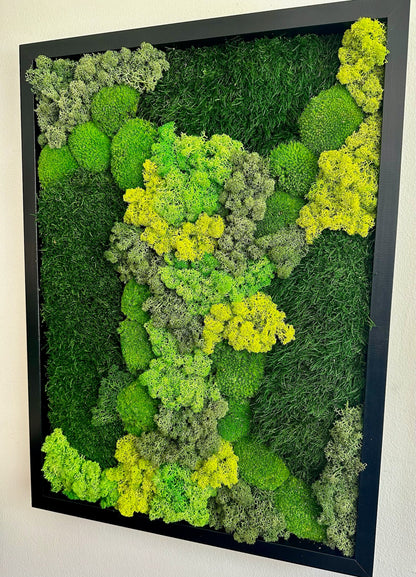 Preserved Reindeer Moss Wall Art: Wood Frame, Green Moss Decor | USA - TARIFF FREE