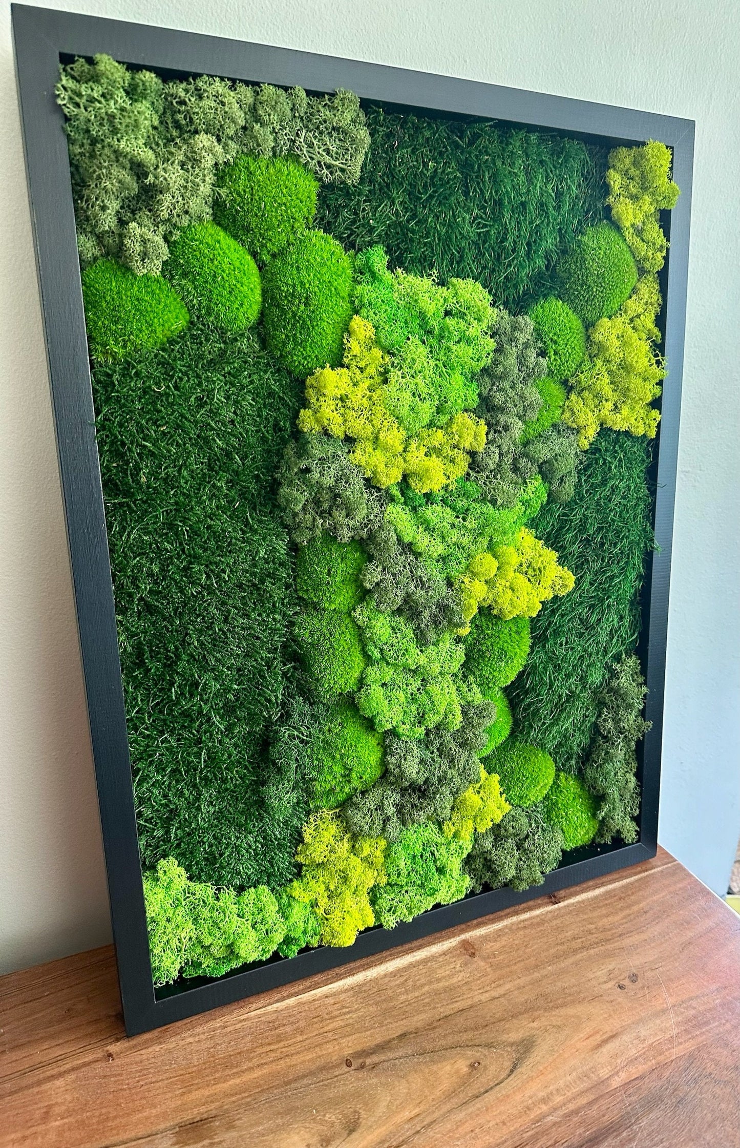 Preserved Reindeer Moss Wall Art: Wood Frame, Green Moss Decor | USA - TARIFF FREE