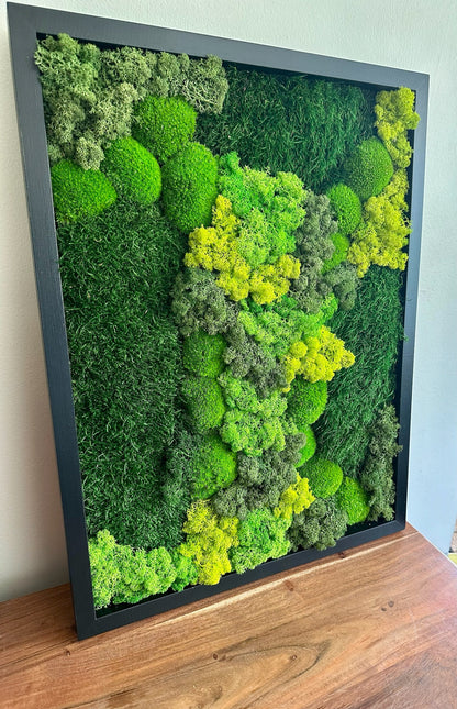 Preserved Reindeer Moss Wall Art: Wood Frame, Green Moss Decor | USA - TARIFF FREE