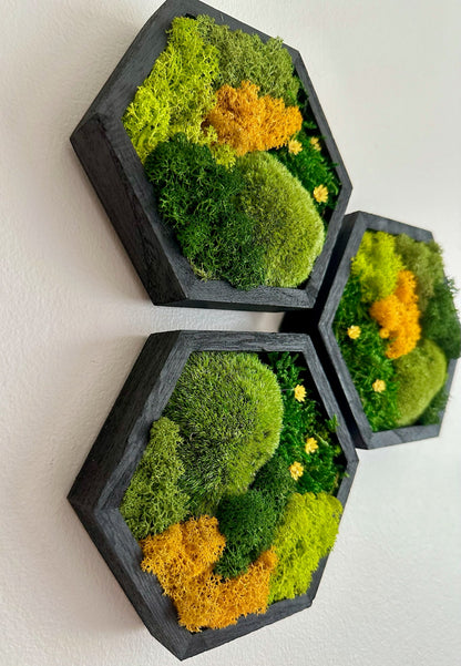 Honeycomb Moss Wall Art: Reindeer Moss in Wood Hexagon Frame | USA - TARIFF FREE