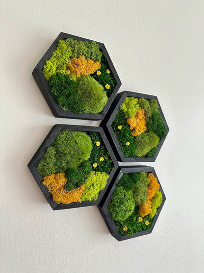 Honeycomb Moss Wall Art: Reindeer Moss in Wood Hexagon Frame | USA - TARIFF FREE