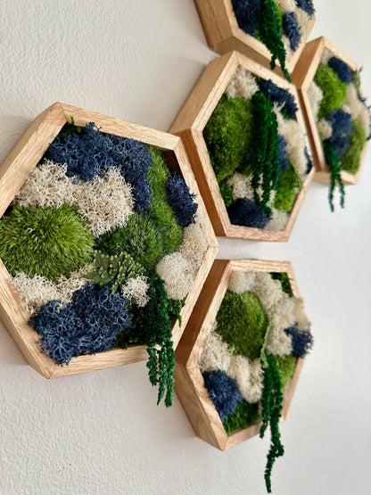 Honeycomb Moss Wall Art: Reindeer & Pole Moss in Wood Hexagon | USA - TARIFF FREE
