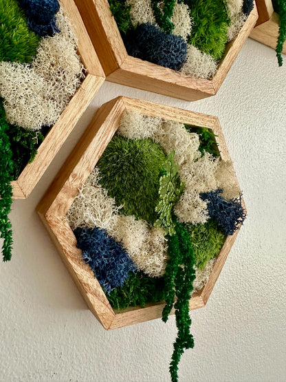 Honeycomb Moss Wall Art: Reindeer & Pole Moss in Wood Hexagon | USA - TARIFF FREE