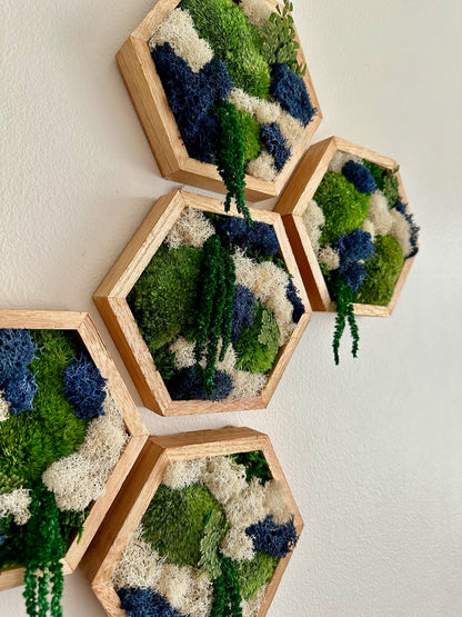 Honeycomb Moss Wall Art: Reindeer & Pole Moss in Wood Hexagon | USA - TARIFF FREE
