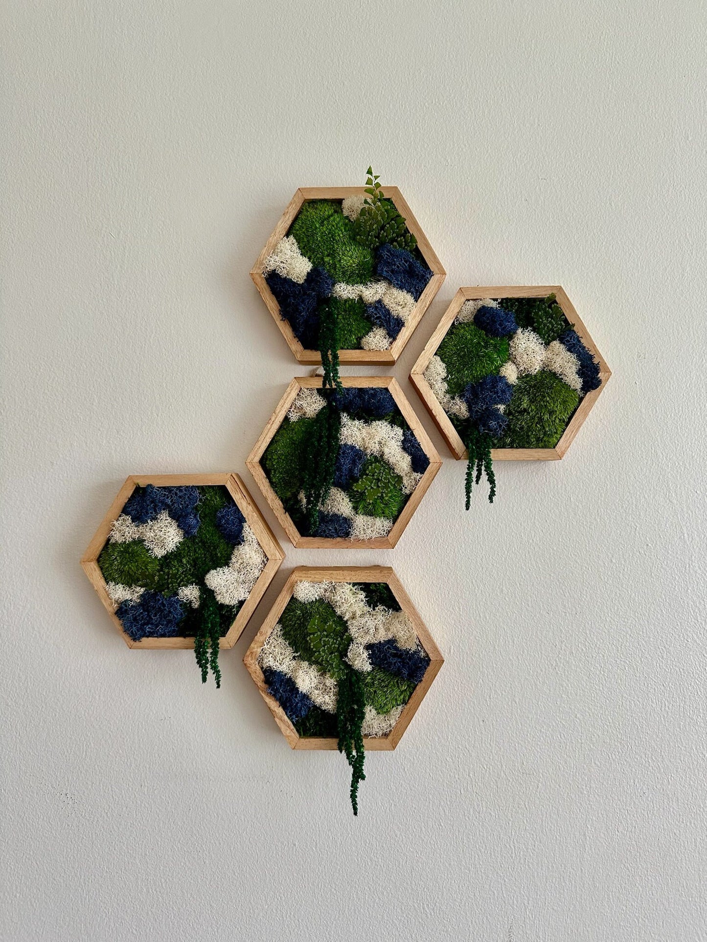 Honeycomb Moss Wall Art: Reindeer & Pole Moss in Wood Hexagon | USA - TARIFF FREE