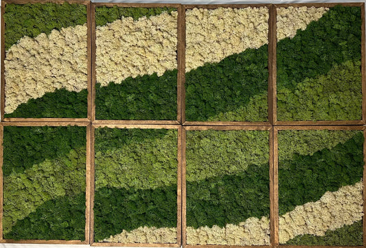 Moss Wall Art | Reindeer Moss Wall Decor | Moss Wall Art | Set of 1 - 8 | Rectangle Wood Frame | Canopy Green, Medium Green and Natural