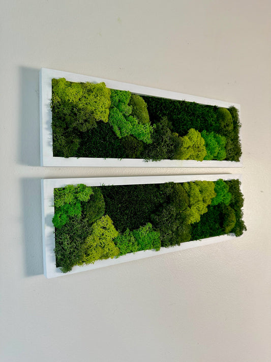 Moss Wall Art | Preserved Moss Art Framed | Moss Wall Decor | Moss Wall Sets | Rectangle Single to Six Set | Green Reindeer Moss Pole Moss