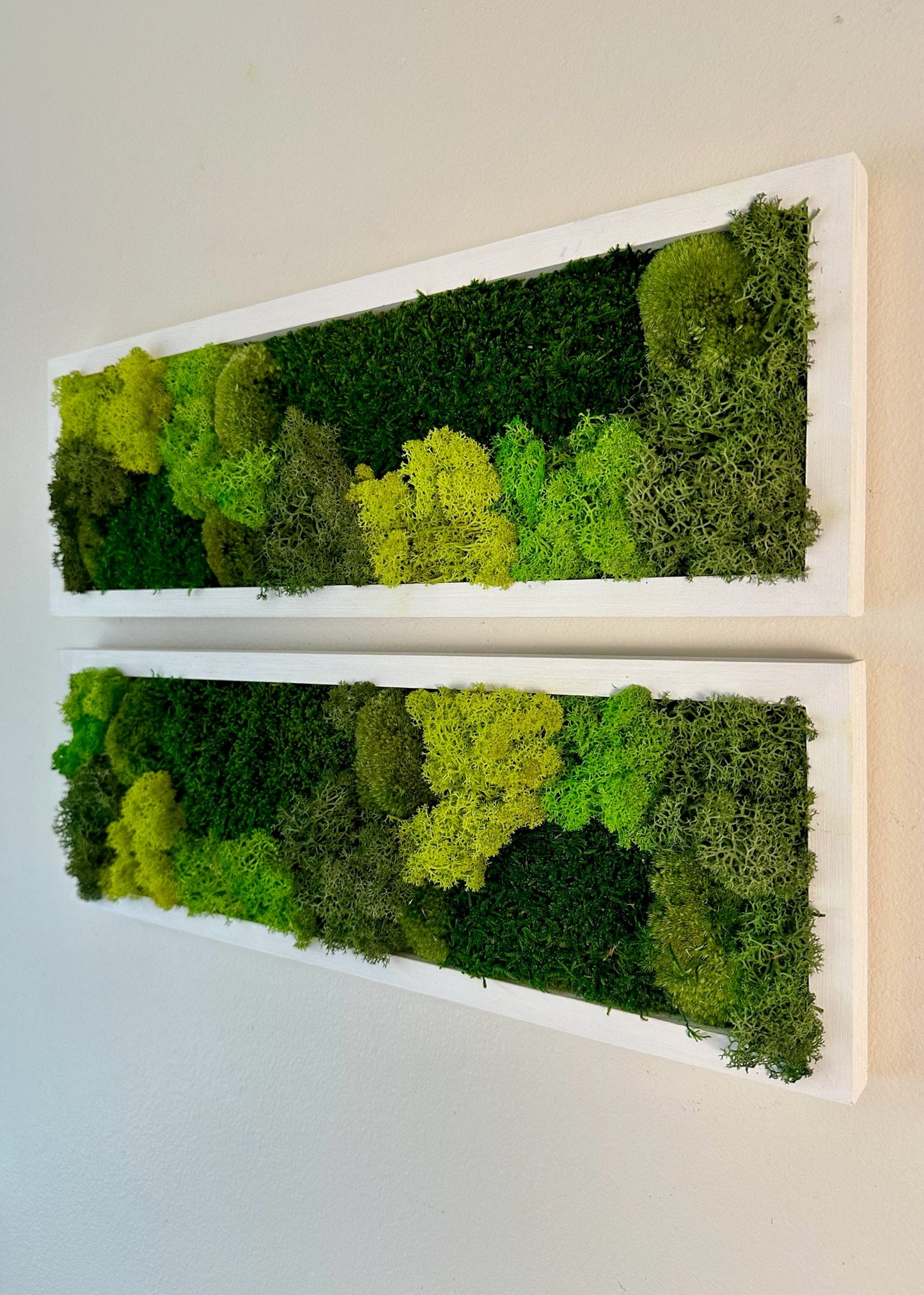 Moss Wall Art | Preserved Moss Art Framed | Moss Wall Decor | Moss Wall Sets | Rectangle Single to Six Set | Green Reindeer Moss Pole Moss