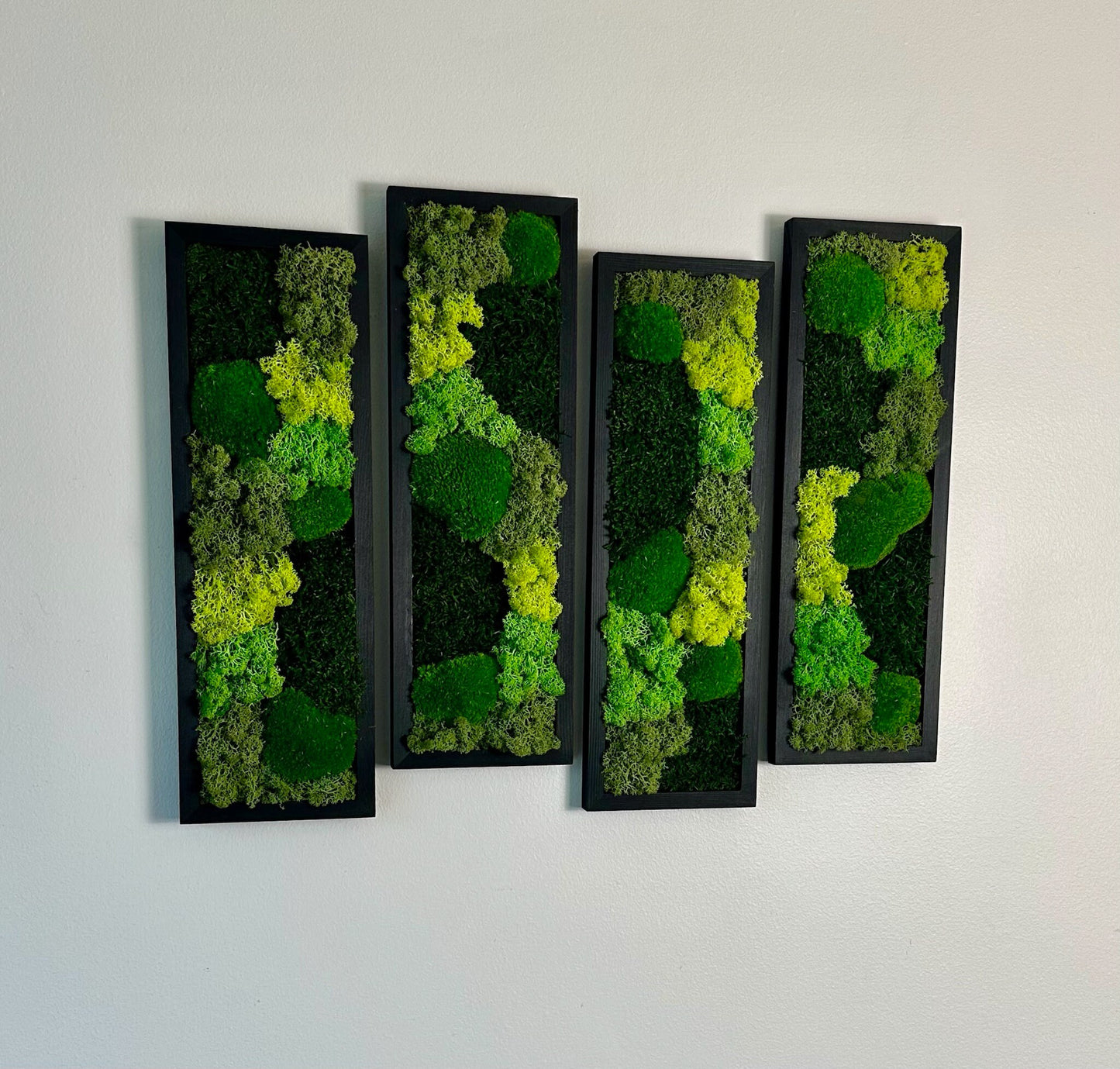 Preserved Reindeer Moss Wall Art: Wood Framed Rectangle Set | USA - TARIFF FREE