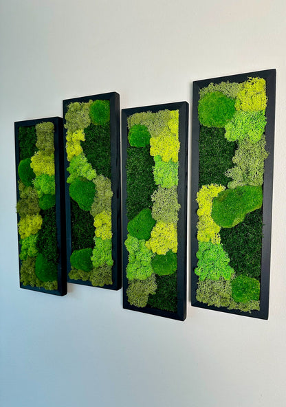 Preserved Reindeer Moss Wall Art: Wood Framed Rectangle Set | USA - TARIFF FREE