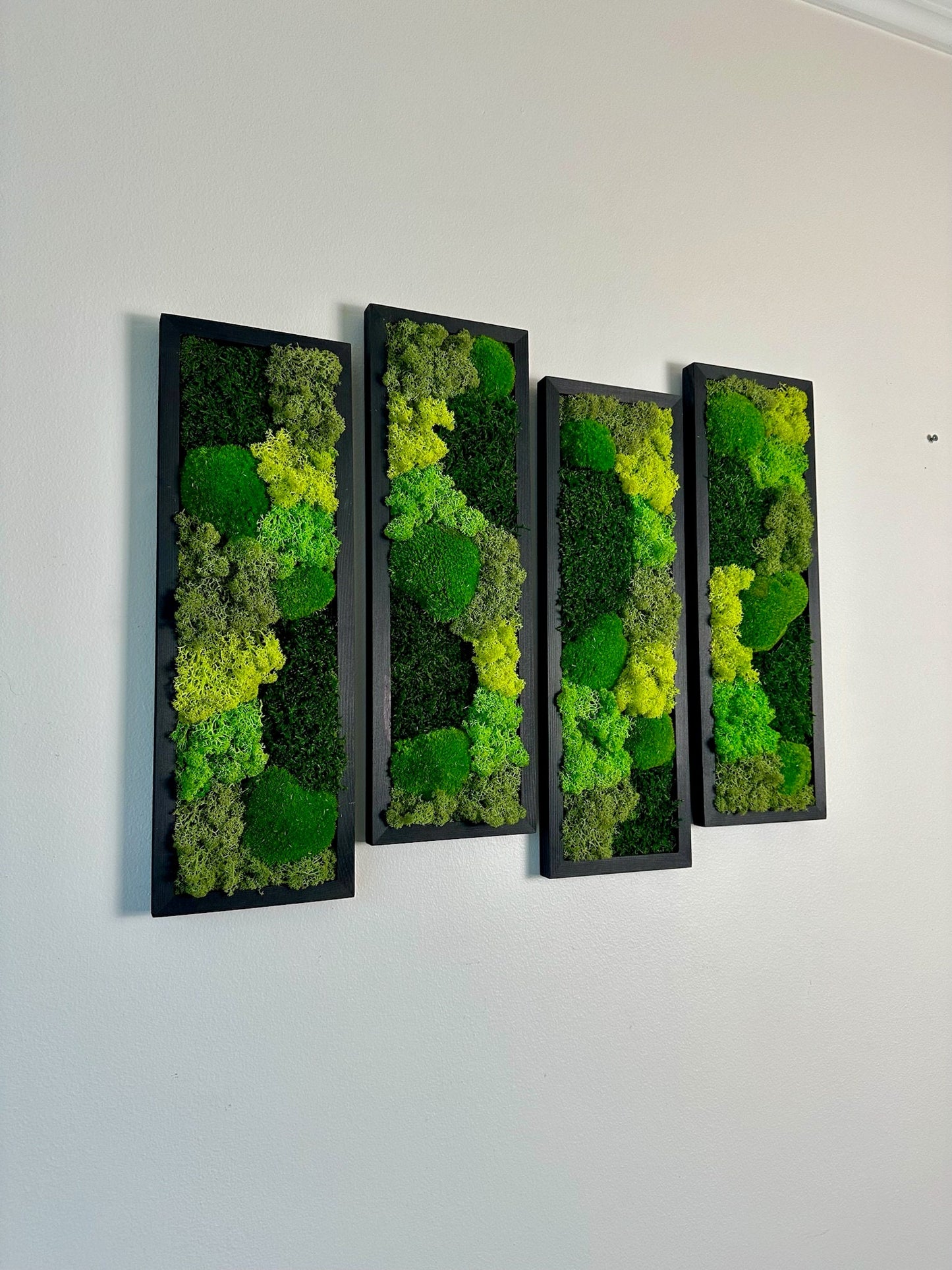 Preserved Reindeer Moss Wall Art: Wood Framed Rectangle Set | USA - TARIFF FREE