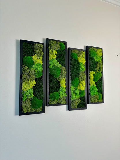 Preserved Reindeer Moss Wall Art: Wood Framed Rectangle Set | USA - TARIFF FREE