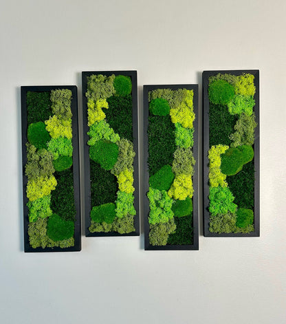 Preserved Reindeer Moss Wall Art: Wood Framed Rectangle Set | USA - TARIFF FREE