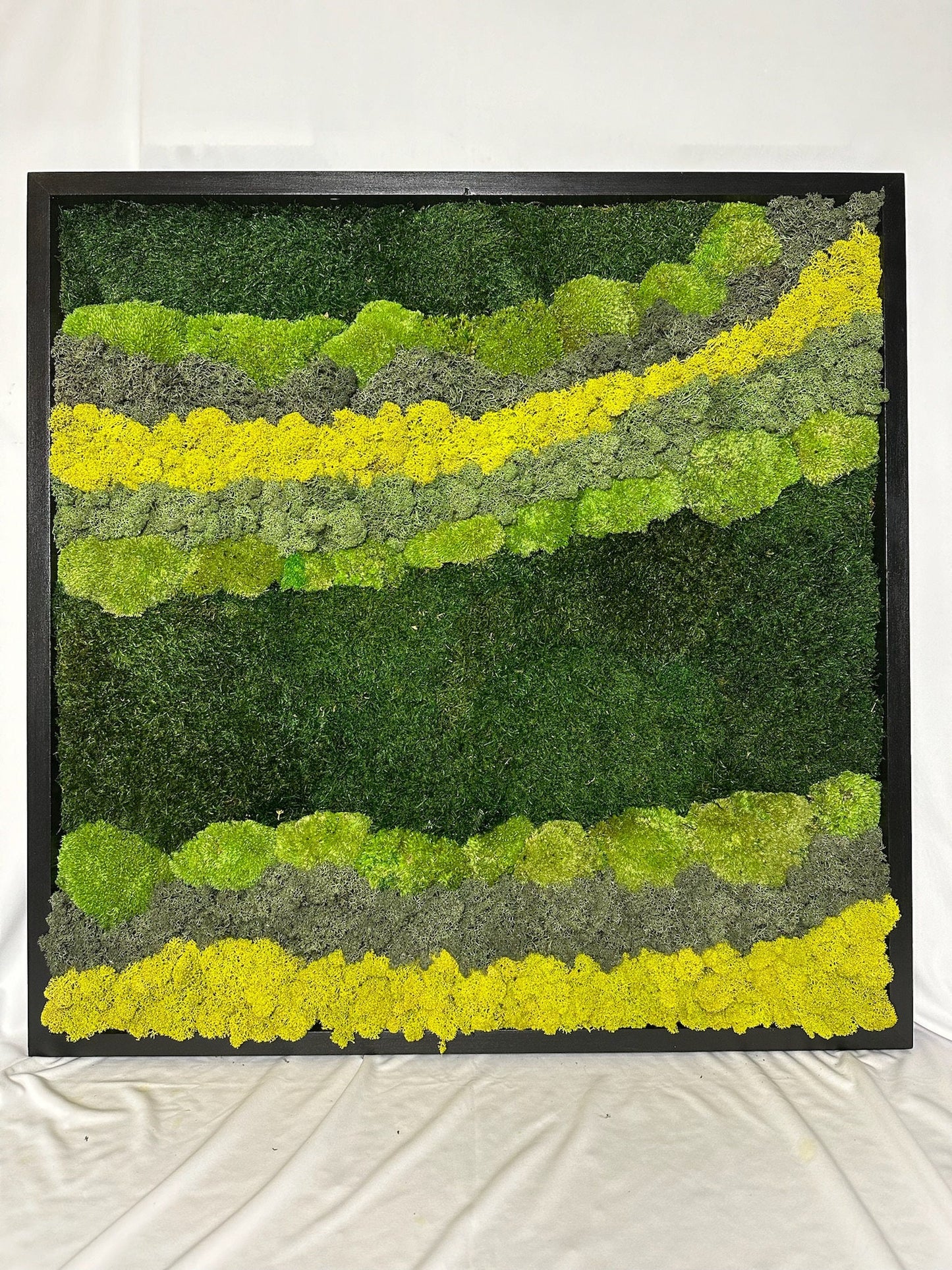 Preserved Reindeer Moss Wall Art: 20" Square Wood Frame Sets | USA - TARIFF FREE