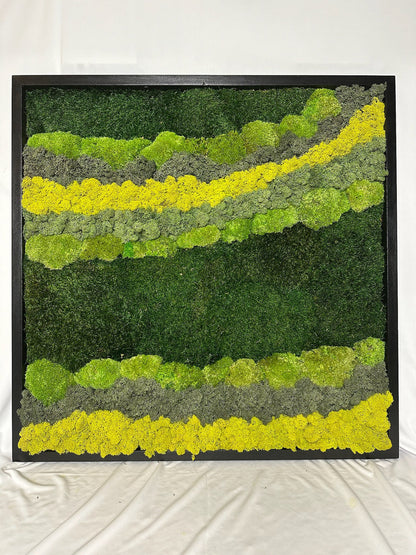Preserved Reindeer Moss Wall Art: 20" Square Wood Frame Sets | USA - TARIFF FREE