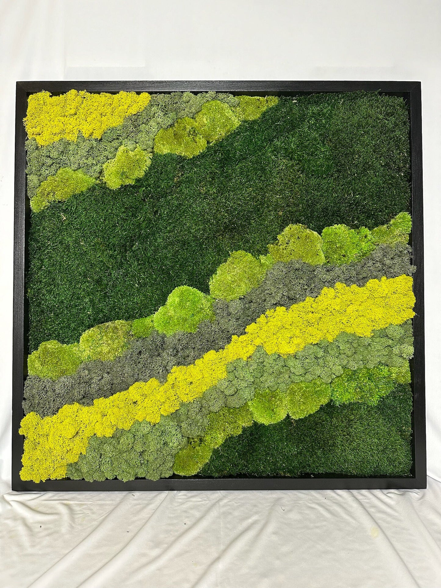 Preserved Reindeer Moss Wall Art: 20" Square Wood Frame Sets | USA - TARIFF FREE