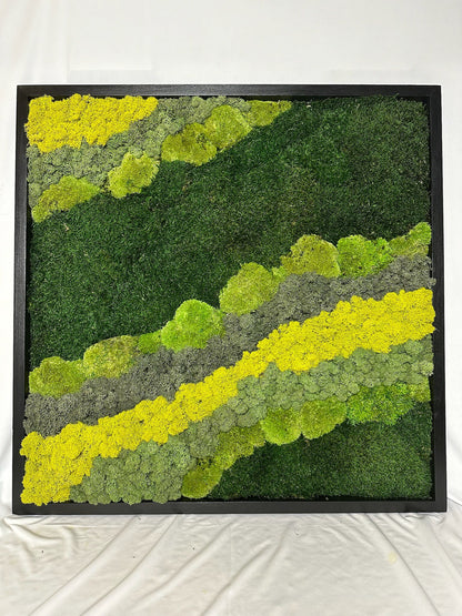 Preserved Reindeer Moss Wall Art: 20" Square Wood Frame Sets | USA - TARIFF FREE