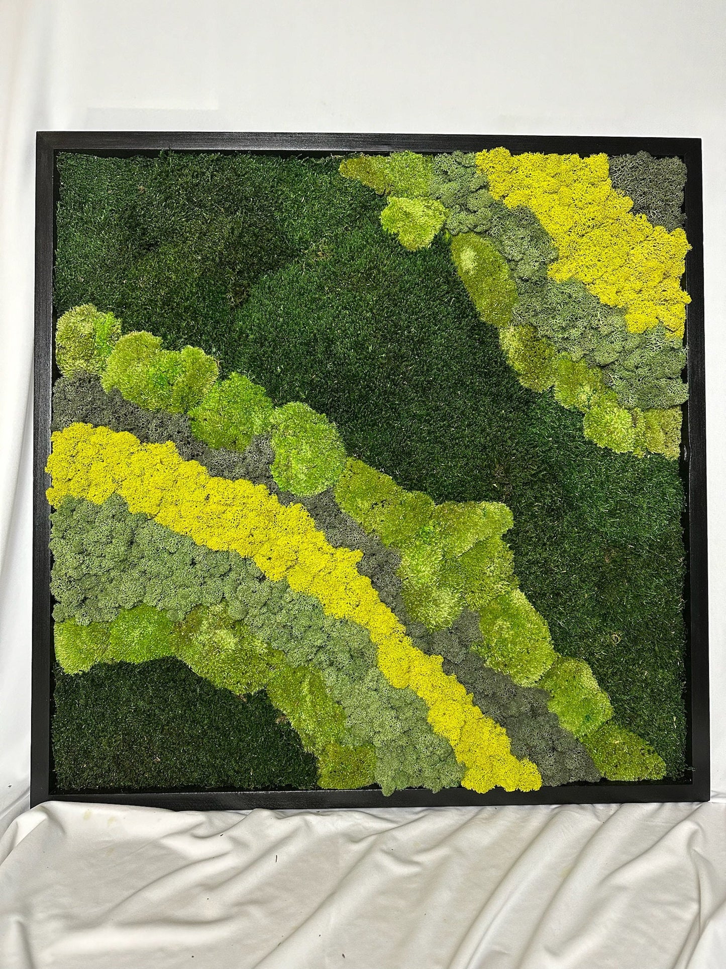 Preserved Reindeer Moss Wall Art: 20" Square Wood Frame Sets | USA - TARIFF FREE