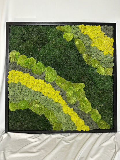 Preserved Reindeer Moss Wall Art: 20" Square Wood Frame Sets | USA - TARIFF FREE
