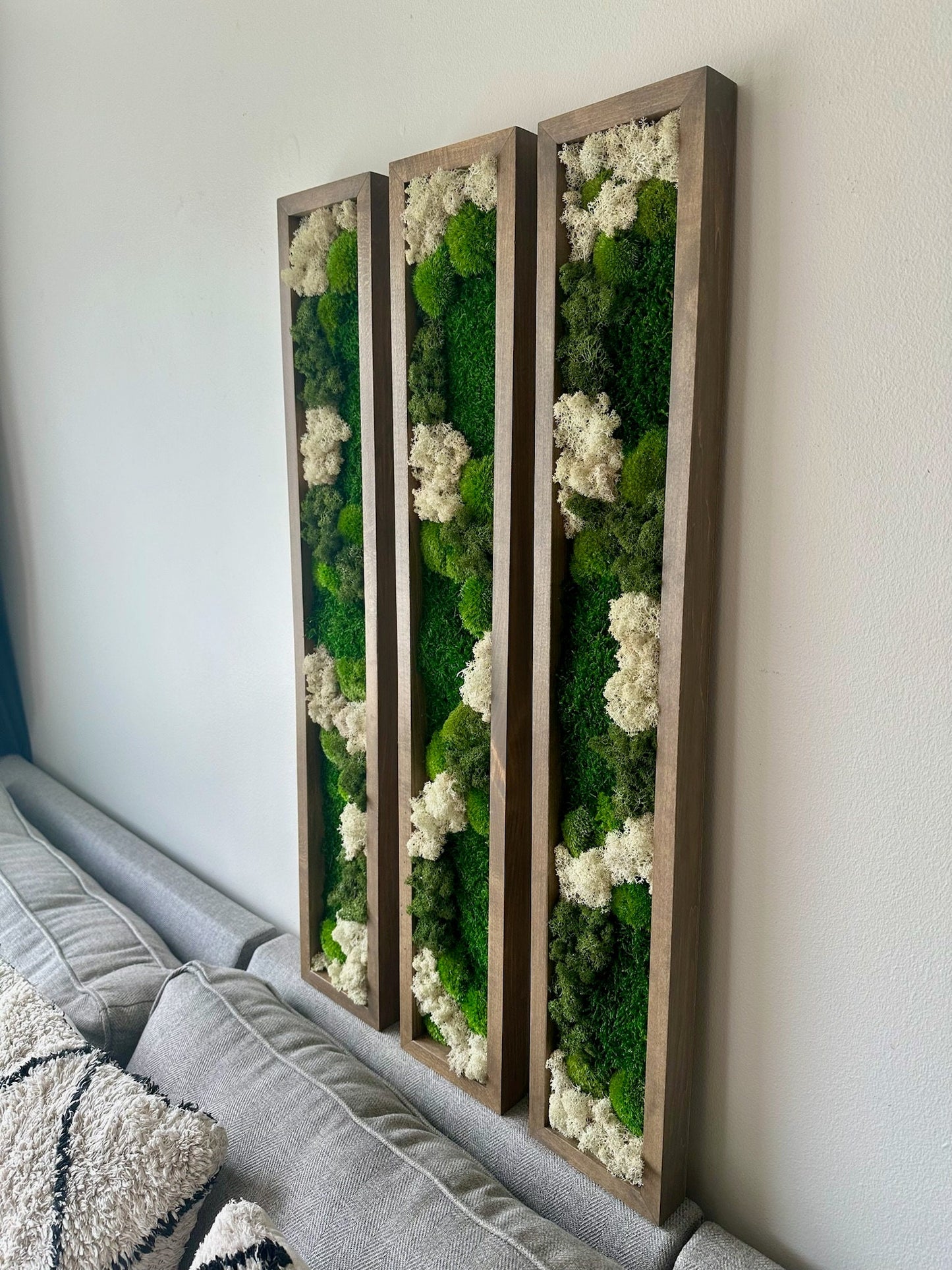 Preserved Reindeer Moss Wall Art: Wood Frame Set | USA - TARIFF FREE