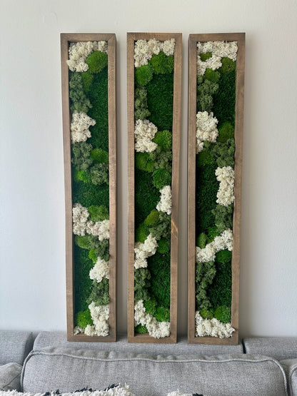 Preserved Reindeer Moss Wall Art: Wood Frame Set | USA - TARIFF FREE