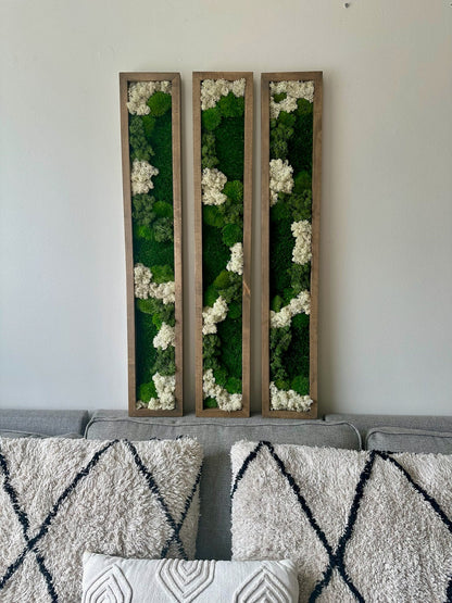 Preserved Reindeer Moss Wall Art: Wood Frame Set | USA - TARIFF FREE