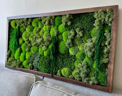 Preserved Moss Wall Art: Reindeer & Sheet Moss, Wood Frame | USA - TARIFF FREE