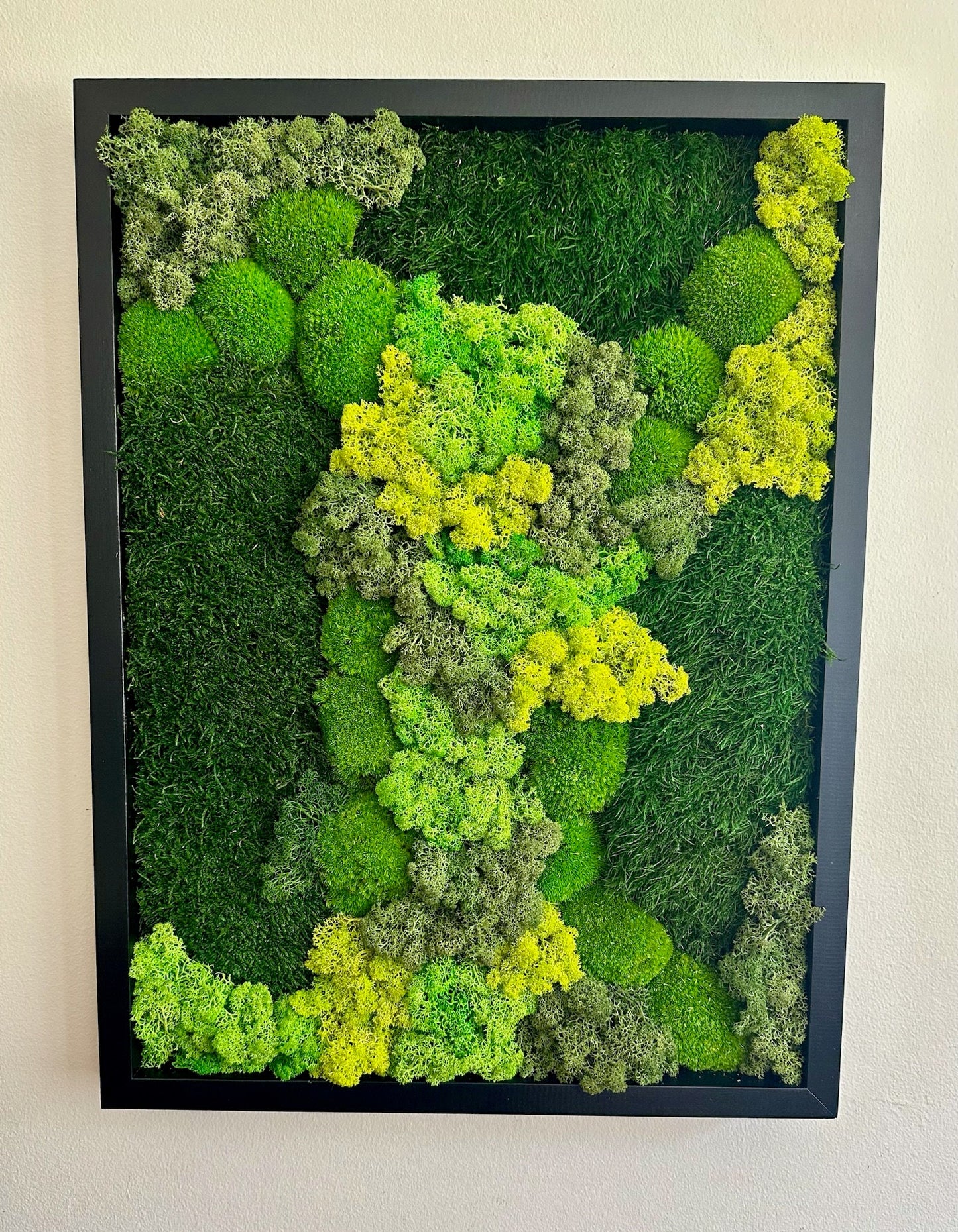 Preserved Reindeer Moss Wall Art: Wood Frame, Green Moss Decor | USA - TARIFF FREE
