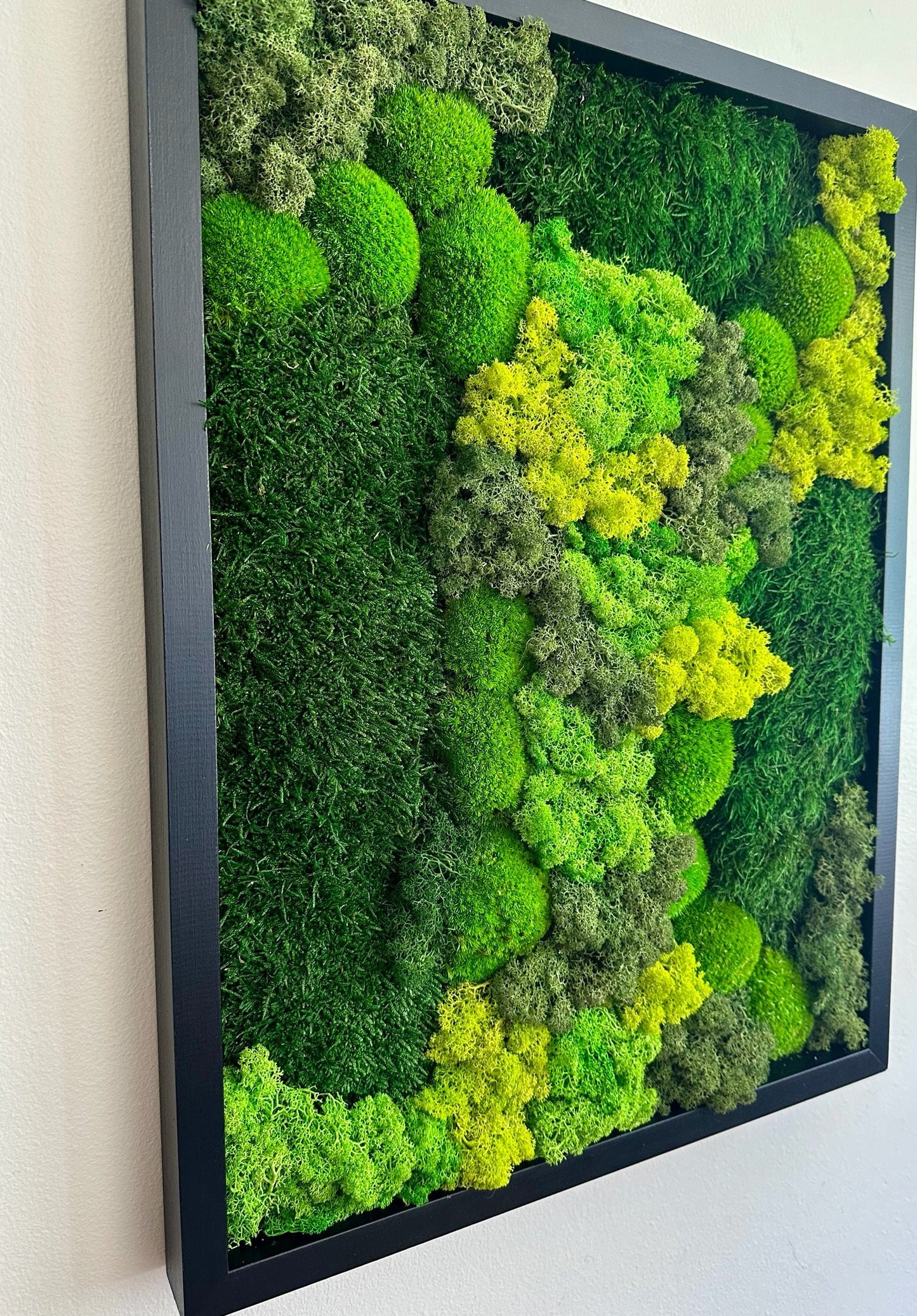 Preserved Reindeer Moss Wall Art: Wood Frame, Green Moss Decor | USA - TARIFF FREE