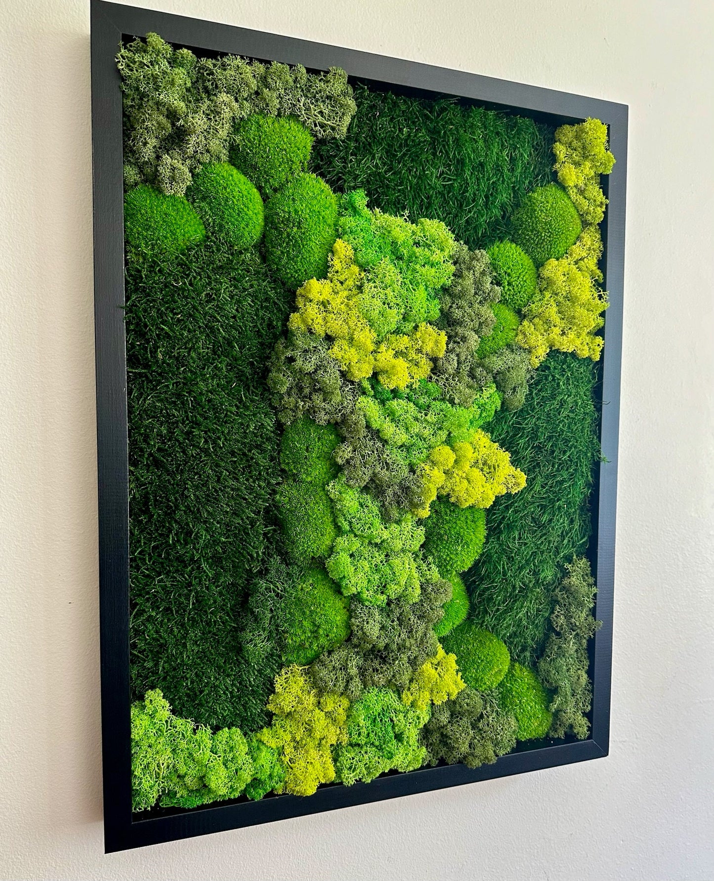 Preserved Reindeer Moss Wall Art: Wood Frame, Green Moss Decor | USA - TARIFF FREE
