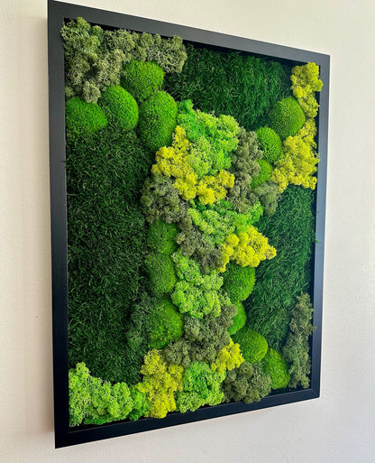 Preserved Reindeer Moss Wall Art: Wood Frame, Green Moss Decor | USA - TARIFF FREE