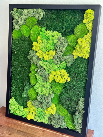 Preserved Reindeer Moss Wall Art: Wood Frame, Green Moss Decor | USA - TARIFF FREE